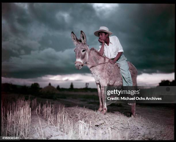 Boy poses in a donkey in Acapulco, Mexico in July 1953.