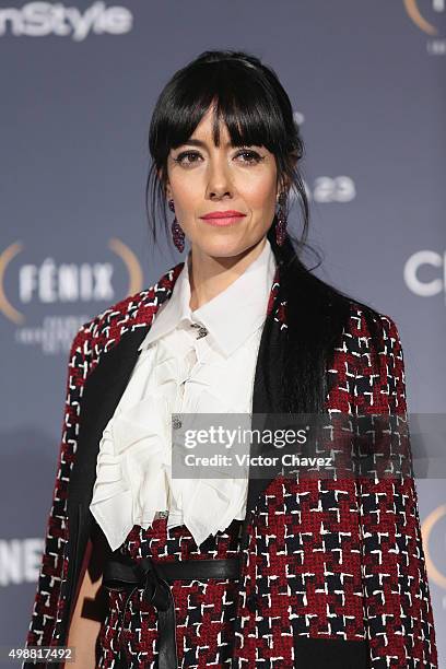 Cecilia Suarez attends the Premio Iberoamericano de Cine Fenix 2015 at Teatro de La Ciudad on November 25, 2015 in Mexico City, Mexico.