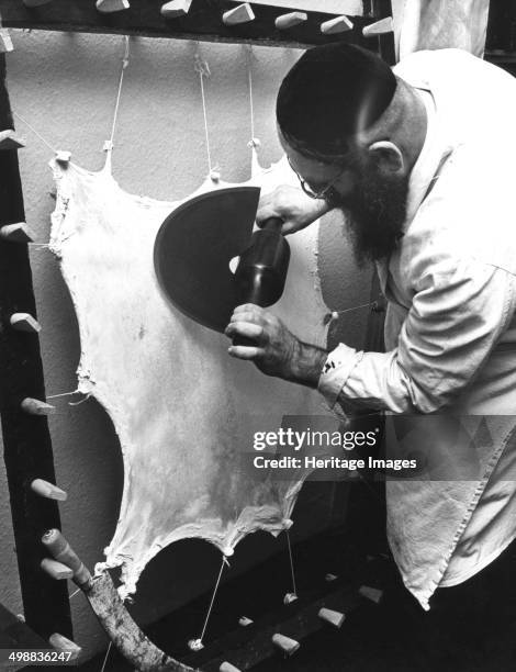 Preparing the parchment for a Sefer Torah, c1970s? Animal skin stretched on a frame will be made into parchment for a scroll containing the Jewish...