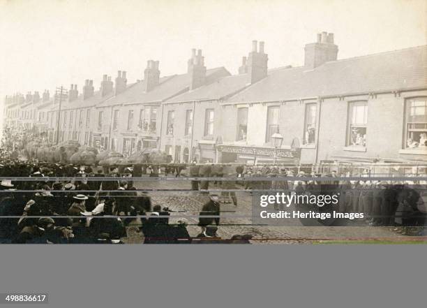 Parade of Barnum and Bailey's Circus elephants, Chesterfield, Derbyshire, 1899. The parade passing along Chatsworth Road. The elephants passed after...