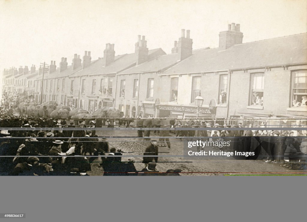 Parade of Barnum and Bailey's Circus elephants, Chesterfield, Derbyshire, 1899.