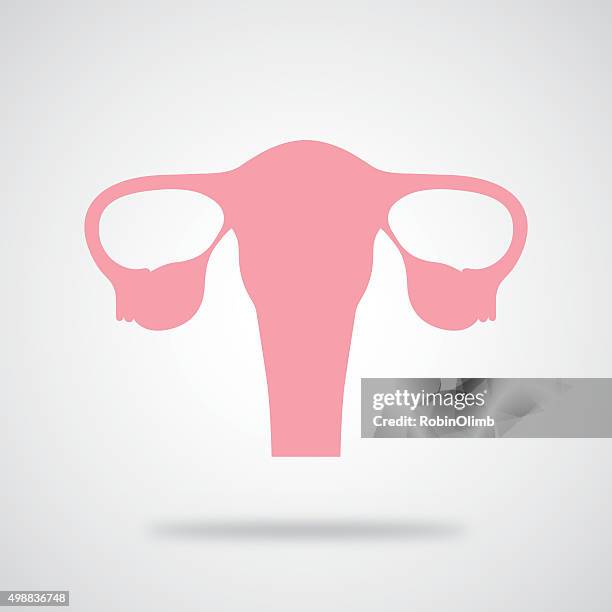 841点の卵巣イラスト素材 Getty Images 841点の卵巣イラスト素材 Getty Images