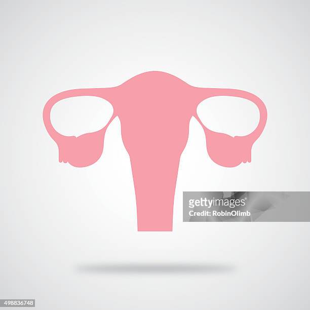 stockillustraties, clipart, cartoons en iconen met pink uterus icon - human reproductive organ