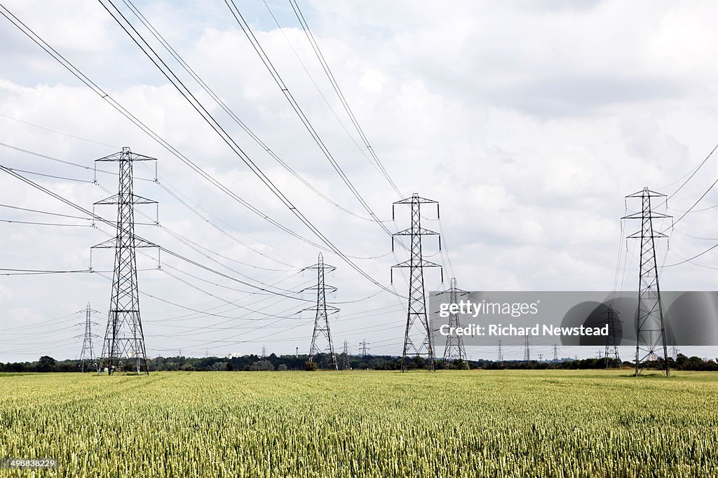 Electricity Pylons