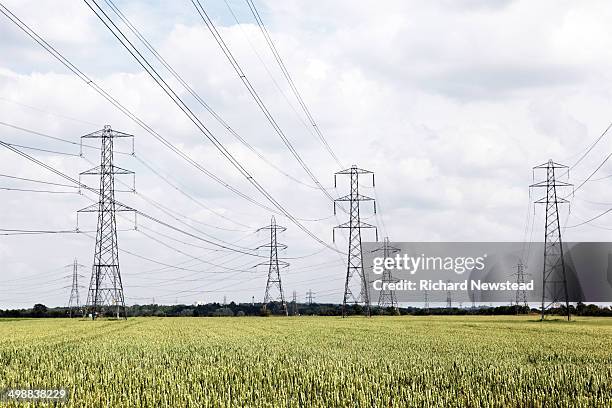 electricity pylons - electric tower stock pictures, royalty-free photos & images