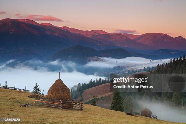 Haystack Newfoundland Haystack Mountain Photos and Premium High Res Pictures - Getty Images