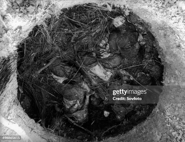 Well shaft in Cao Bang province of Vietnam, turned into a mass grave by Chinese invaders, contains the bodies of women and children. April 1979.