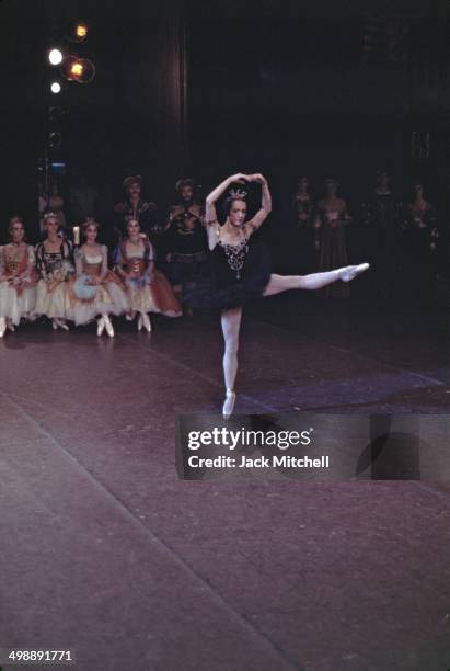 Principal dancer Toni Lander performs in the American Ballet Theatre's production of 'Swan Lake,' 1968.