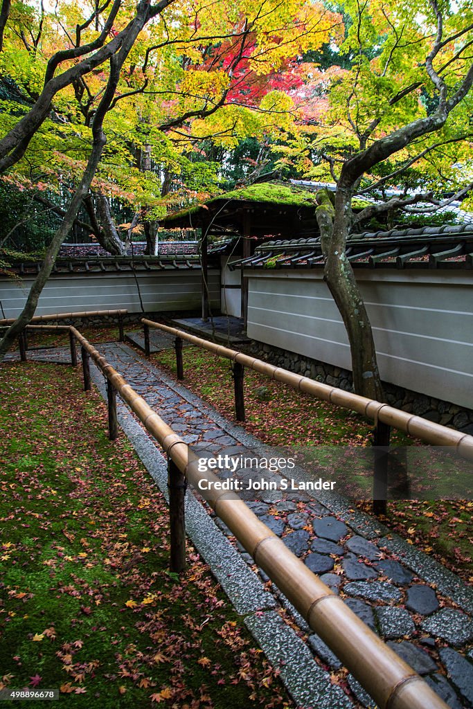 Japanese Maple and Autumn Colors at Koto-In Garden,...
