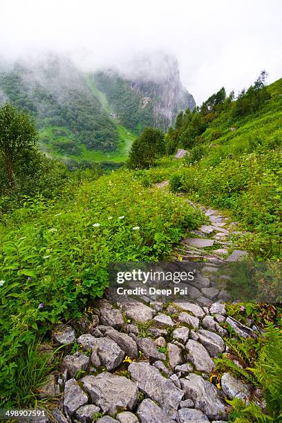 the winding path at the valley of flowers - valley of flowers uttarakhand foto e immagini stock