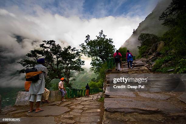 The first leg of the journey to the Valley of Flowers Nation Park. This trek of 14 km will take you from Gobindghat to Ghangaria which is a small...