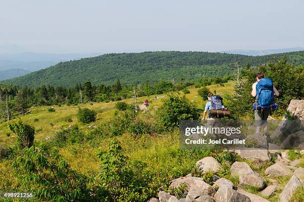 viajar como mochilero en el sendero appalachian trail, en el sudoeste de virginia - appalachian trail fotografías e imágenes de stock