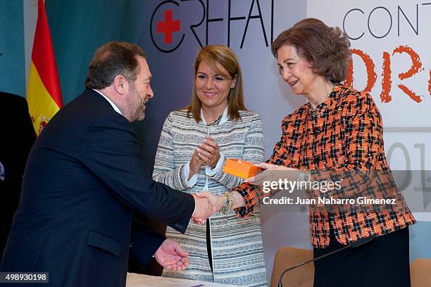 Queen Sofia attends CREFAT Foundation Awards 2015 at Cruz Roja building on November 27, 2015 in Madrid, Spain.