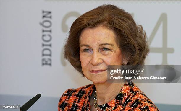 Queen Sofia attends CREFAT Foundation Awards 2015 at Cruz Roja building on November 27, 2015 in Madrid, Spain.