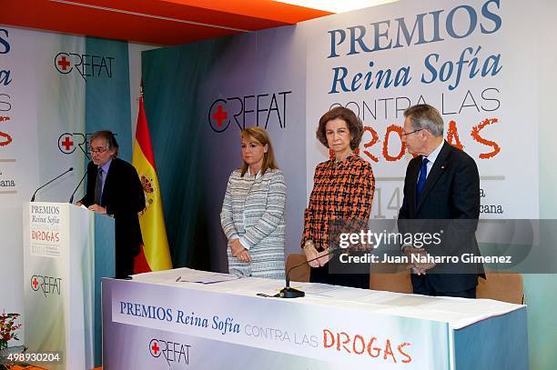 Queen Sofia attends CREFAT Foundation Awards 2015 at Cruz Roja building on November 27, 2015 in Madrid, Spain.