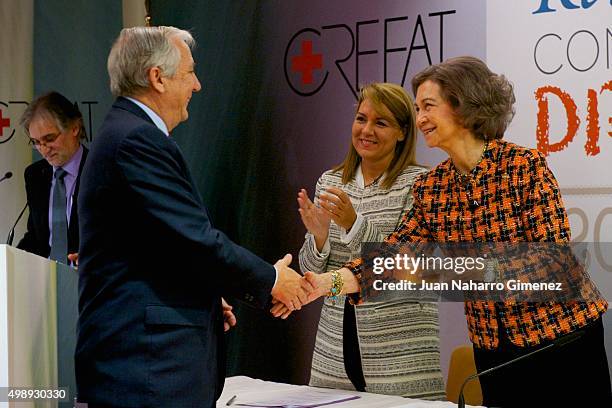 Queen Sofia attends CREFAT Foundation Awards 2015 at Cruz Roja building on November 27, 2015 in Madrid, Spain.