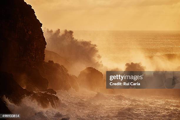 sea - rui caria - fotografias e filmes do acervo