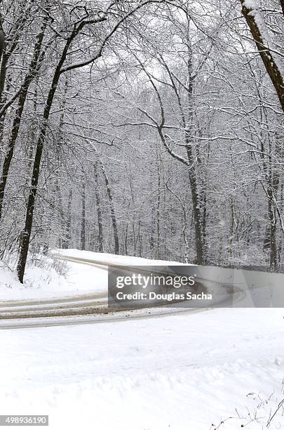 dangerous snow covered curve in the road - bare trees on snowfield stock pictures, royalty-free photos & images