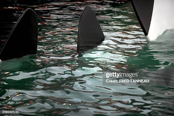 This photo taken on November 27, 2015 in the harbor of Brest, western France, shows the fins of a hydroelectric motor at a tidal farm. The first...