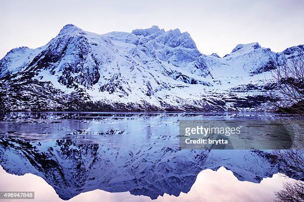 winter landscape with reflection on lofoten  near svolvaer, norway - svolvaer stock pictures, royalty-free photos & images