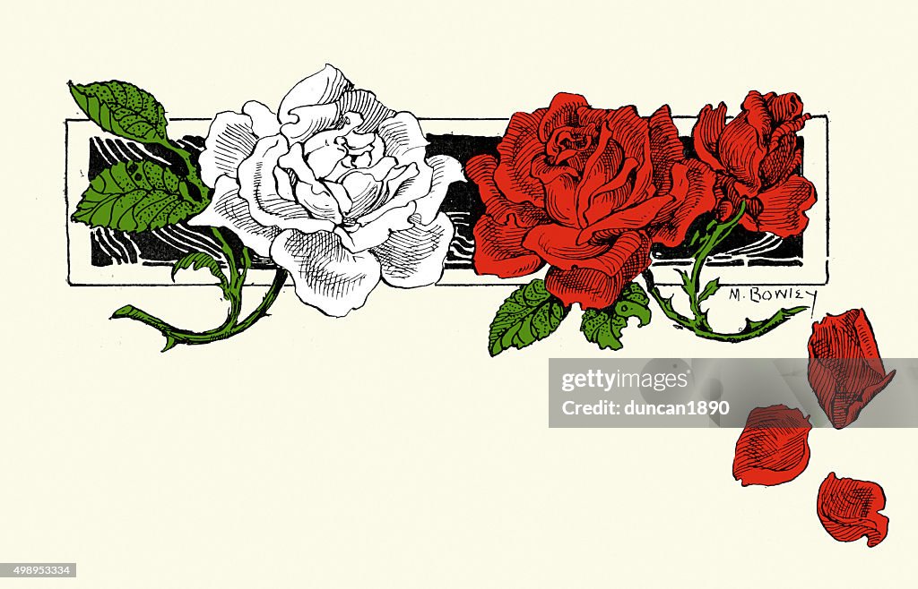 Wars of the Roses - Red and White Rose Motif