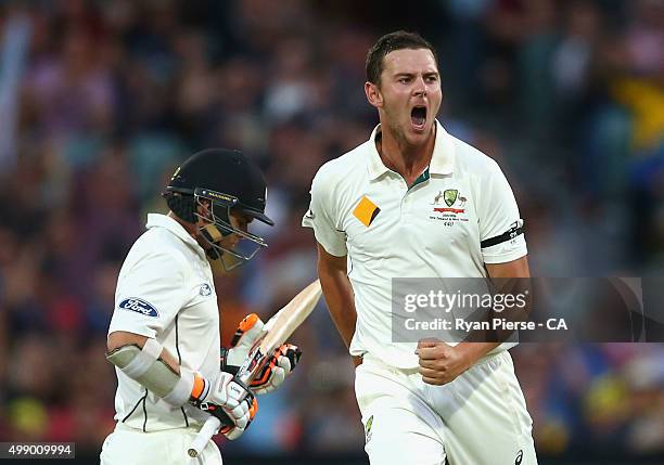 Josh Hazlewood of Australia celebrates after taking the wicket of Tom Latham of New Zealand during day two of the Third Test match between Australia...