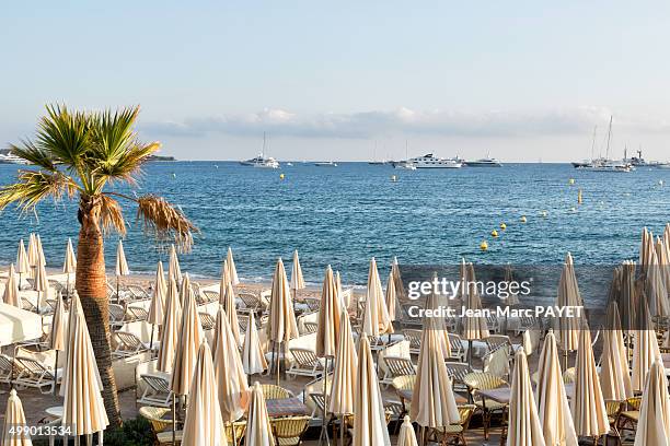 umbrellas on the beach in cannes - personne non reconnaissable stock pictures, royalty-free photos & images