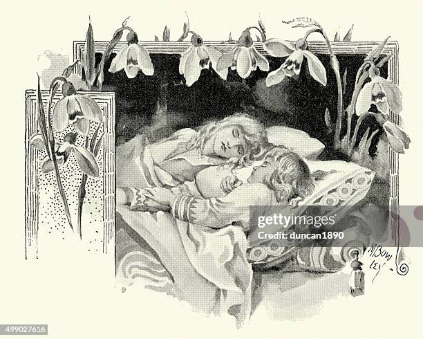 princes in the tower - prince stock illustrations