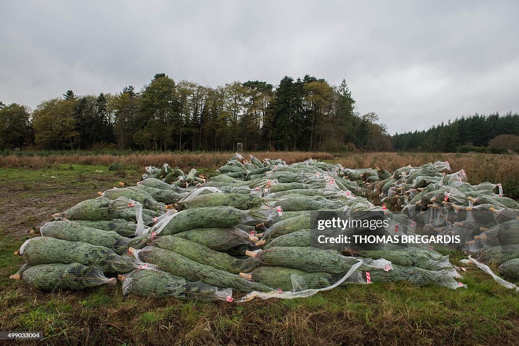 FRANCE-CHRISTMAS-BUSINESS-AGRICULTURE-LIFESTYLE