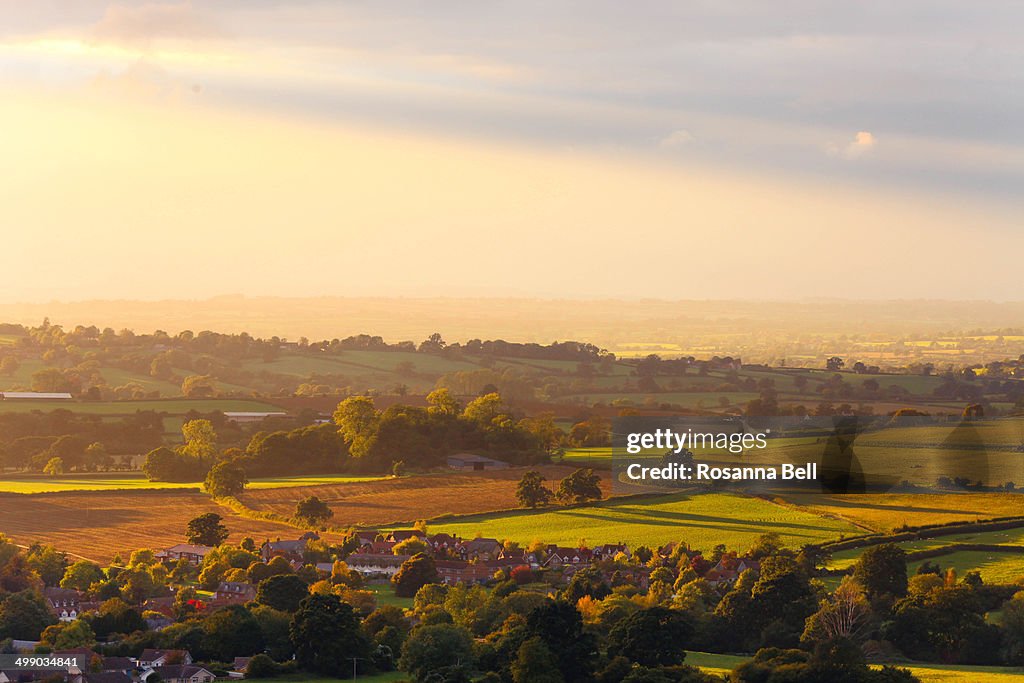 Sunlit countryside fields at sunset