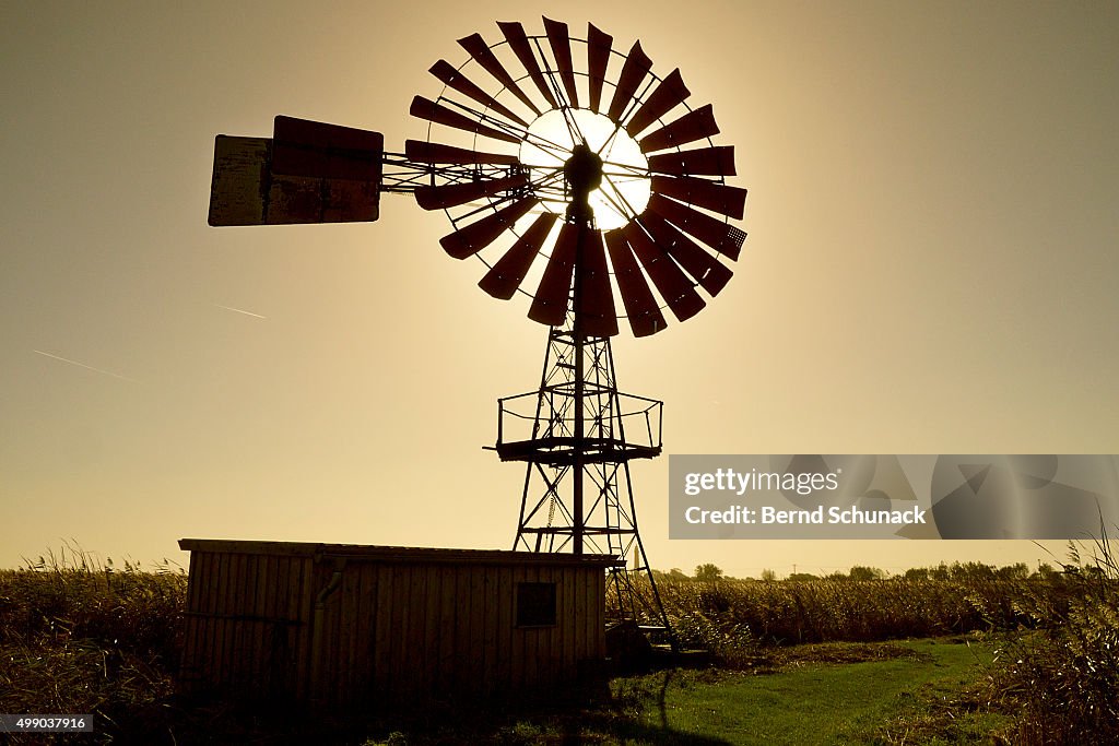 American-style windmill in backlight