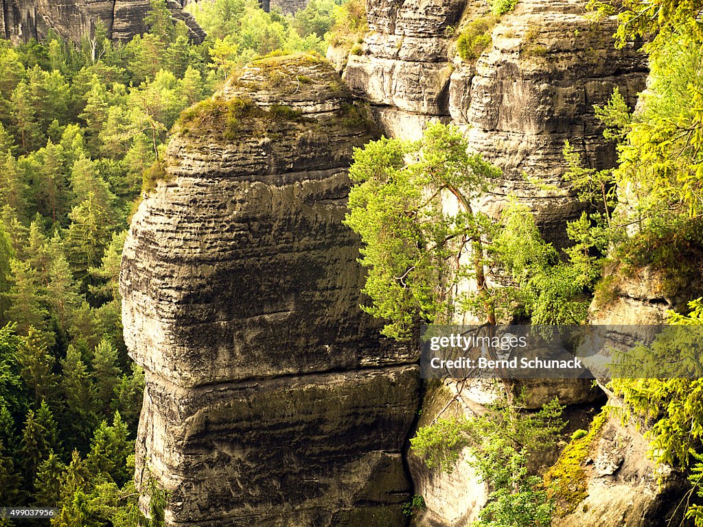 Sandstone Mountains