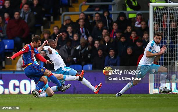 James McArthur of Crystal Palace scores his team's first goal during the Barclays Premier League match between Crystal Palace and Newcastle United at...