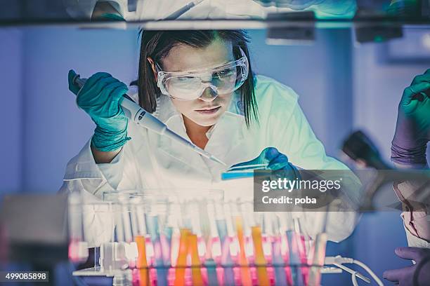 scientist  in laboratory - vetenskapligt experiment bildbanksfoton och bilder