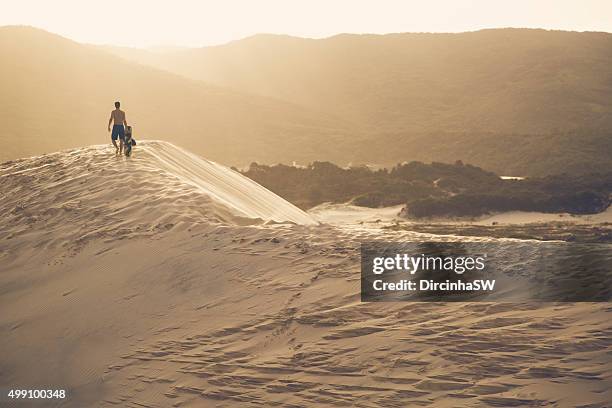dunes of joaquina beach, florianopolis, brazil - sand boarding stock pictures, royalty-free photos & images