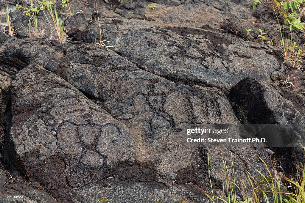 Ancient Hawaiian Petroglyphs