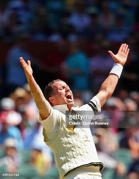 Peter Siddle of Australia appeals for an lbw decision during day three of the Third Test match between Australia and New Zealand at Adelaide Oval on...