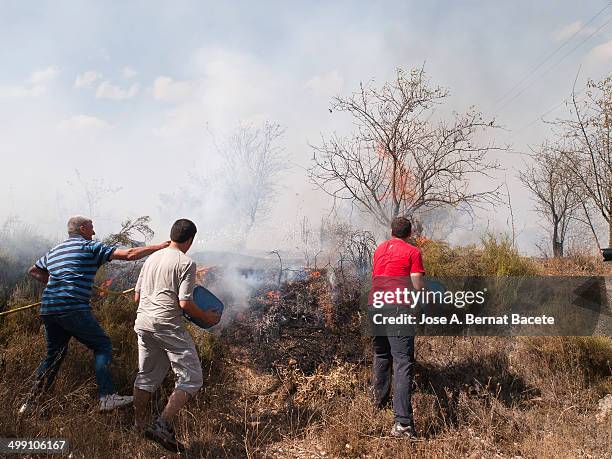 Three young men extinguishing with buckets of water and a hose a forest fire that makes be in danger his houses that are to scanty meters to another...