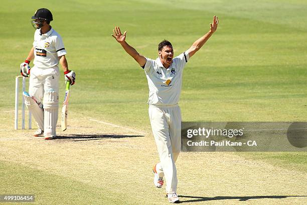 Scott Boland of Victoria appeals successfully for the wicket of Jonathan Wells of Western Australia during day three of the Sheffield Shield match...