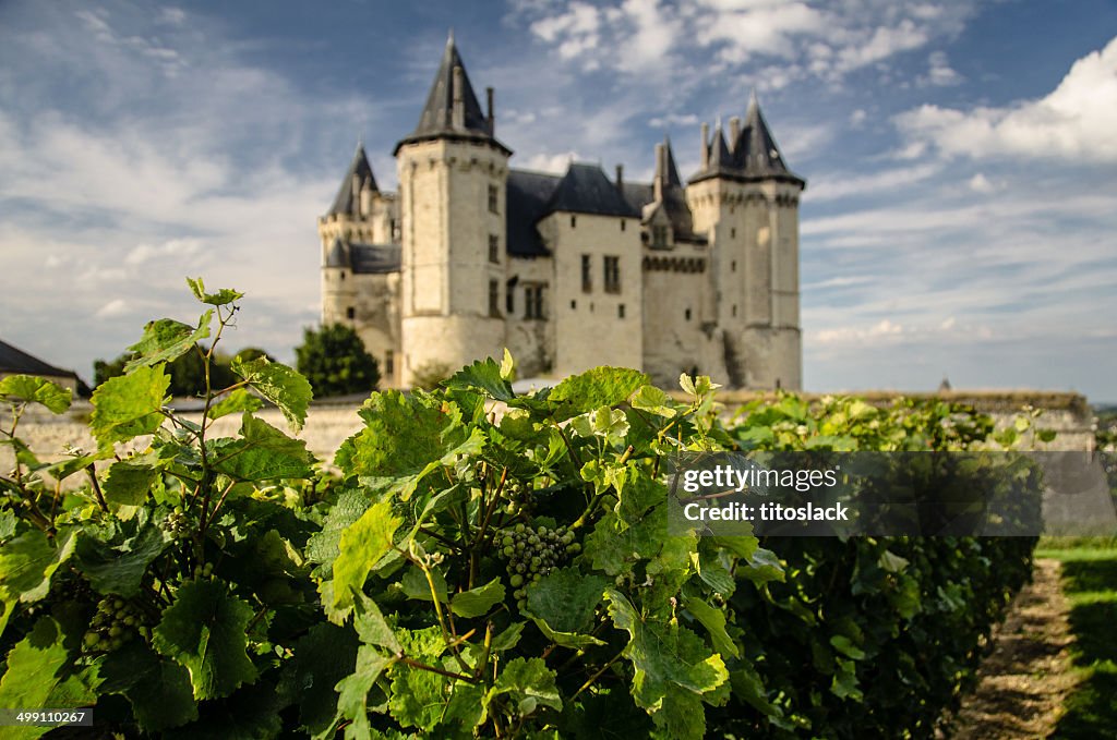 Saumur, United Kingdom