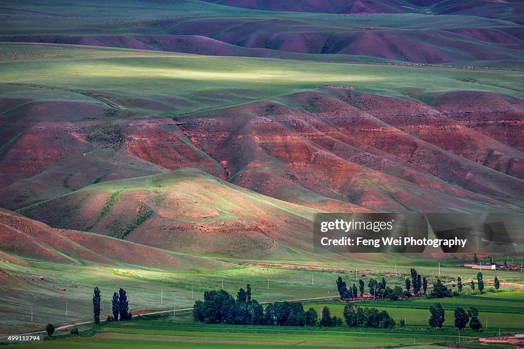 Summer Landscape In Tian Shan Mountains, Xinjiang China