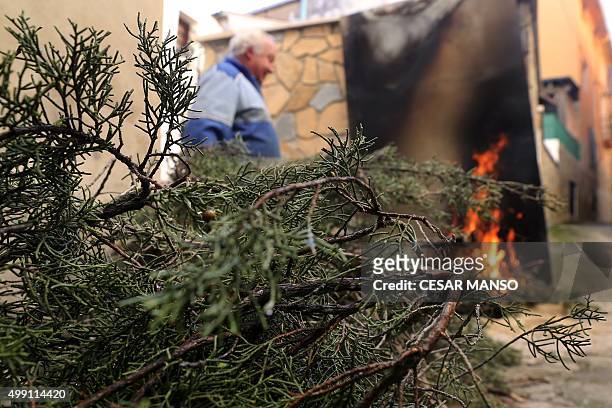 Branches of juniper are piled on the pavement to be burnt on bonfires on November 29 in the northern Spanish village of Arnedillo prior to...