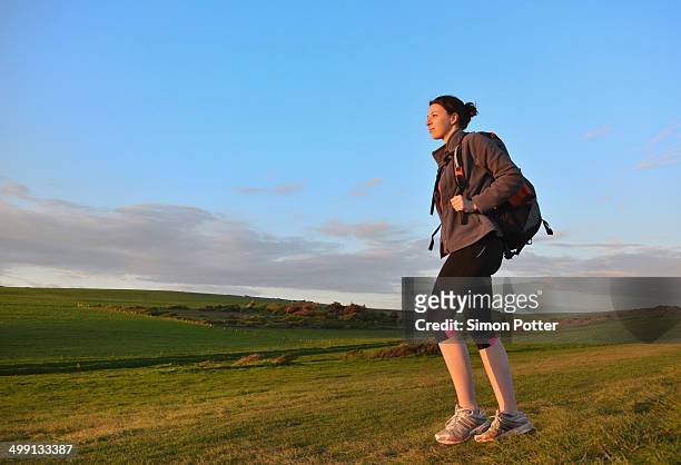 young female hiker, hiking in hills - velo casaco imagens e fotografias de stock