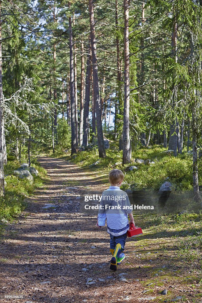 Young boy wandering along forest path