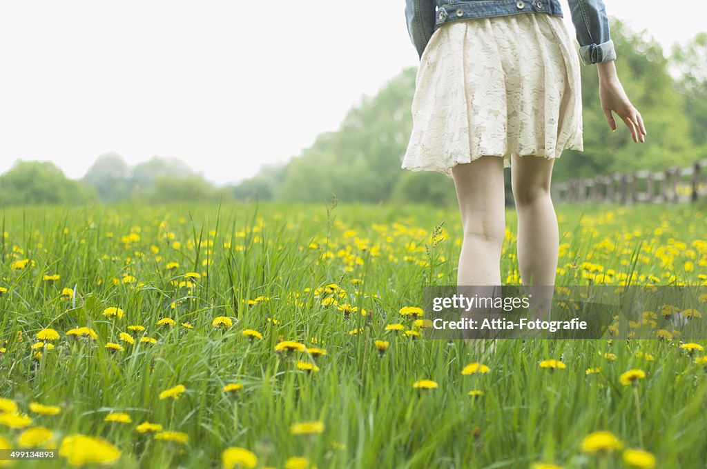 Waist down rear view of young woman strolling in field