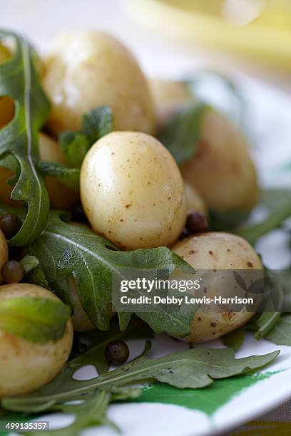 new potatoes and salad - arugula stock pictures, royalty-free photos & images