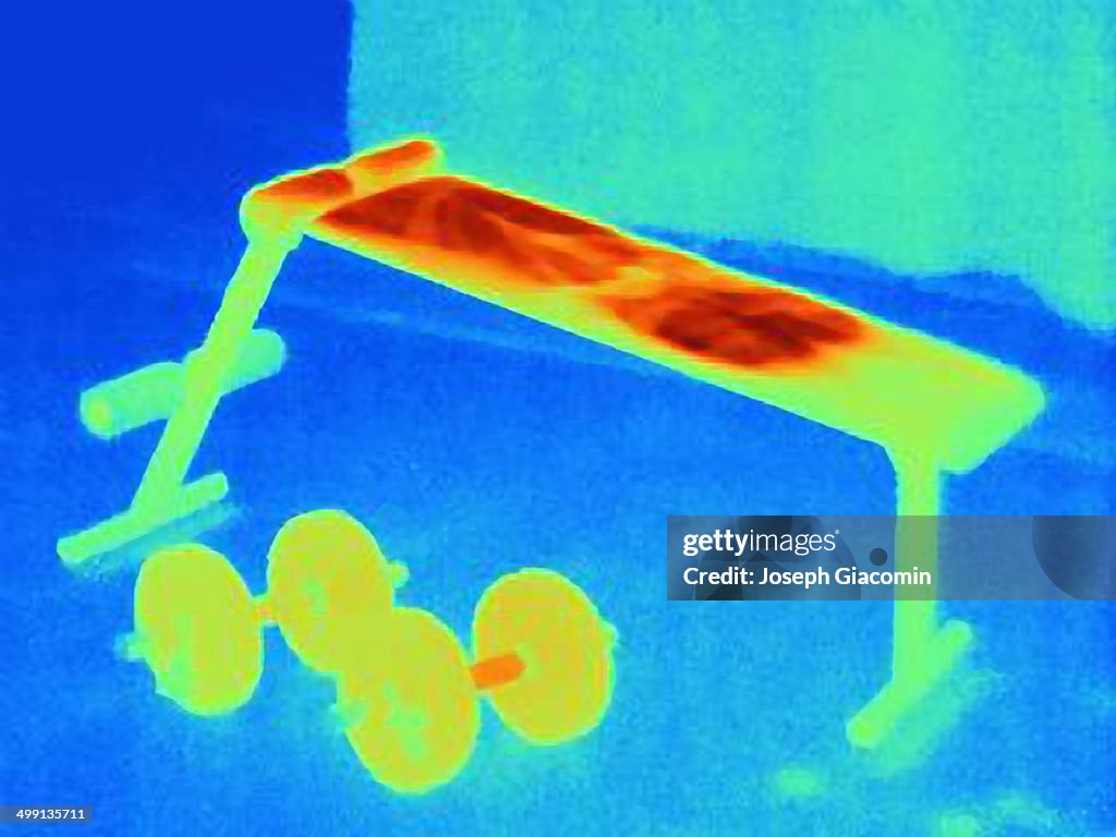 Thermal image of weight bench. The image shows the heat left on the bench by the athlete after the exercise