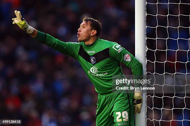 Birmingham City goalkeeper Tomasz Kuszczak instructs his team during the Sky Bet Championship match between Brighton and Hove Albion and Birmingham...