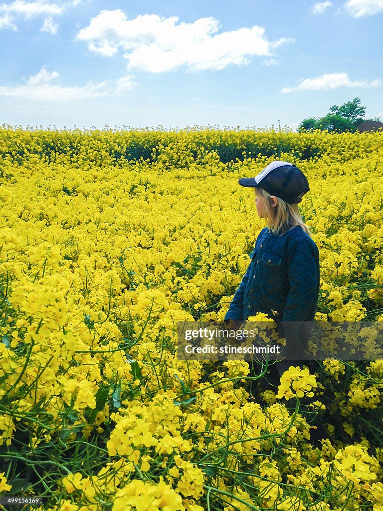 Boy standing in field of yellow flowers