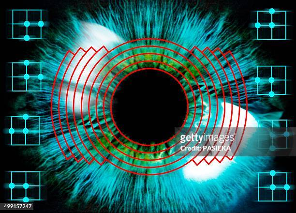 ilustraciones, imágenes clip art, dibujos animados e iconos de stock de biometric eye scan - iris eye